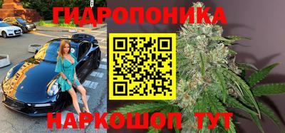 дурь Заводоуковск