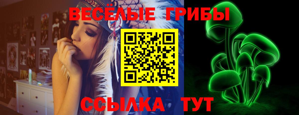 Псилоцибиновые грибы Psilocybe Миасс